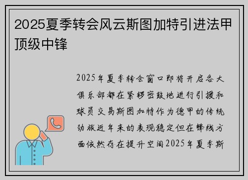 2025夏季转会风云斯图加特引进法甲顶级中锋 2025夏季转会风云斯图加特引进法甲顶级中锋